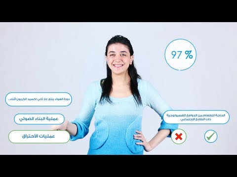 اكثر من ثلاثون قناة عربية على اليوتيوب تقدم دروس تعليمة هادفة و مفيدة - Learning 