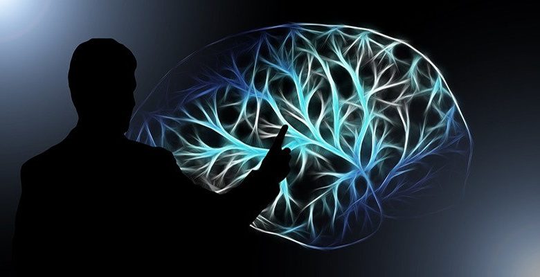 brain training feature | هل تطبيقات تدريب العقل تعمل حقا بشكل كما هو معلن عنه؟