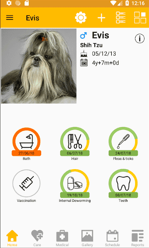أفضل تطبيقات مُراقبة الحيوانات الأليفة لنظامي Android و iOS - Android iOS