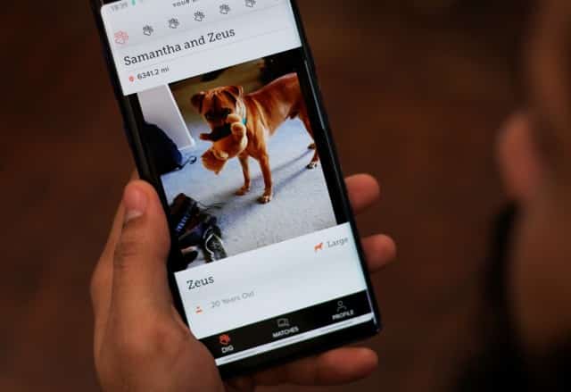 feature 1 | أفضل تطبيقات الحيوانات الأليفة للملاك الجُدد لنظامي Android | iOS