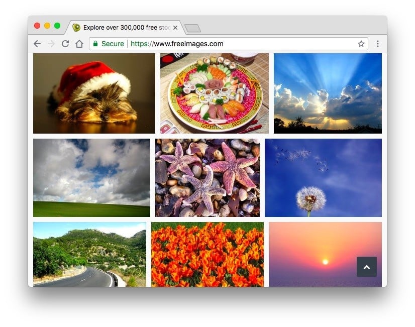 أفضل بدائل Pixabay لمشروعك المقبل وللحصول على صور مجانية - مواقع
