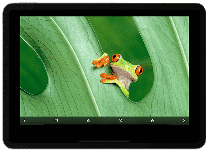 10 أماكن للحصول على خلفيات مذهلة لجهاز iPad Pro - iOS