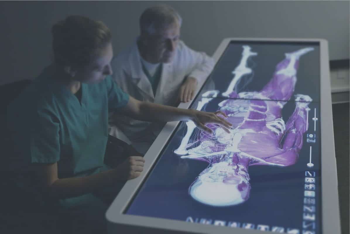 DSC 2979 Anatomage Table jpg blurred BPsgiUfs DzTechs | أفضل الجولات الافتراضية داخل جسم الإنسان للتشريح التفاعلي