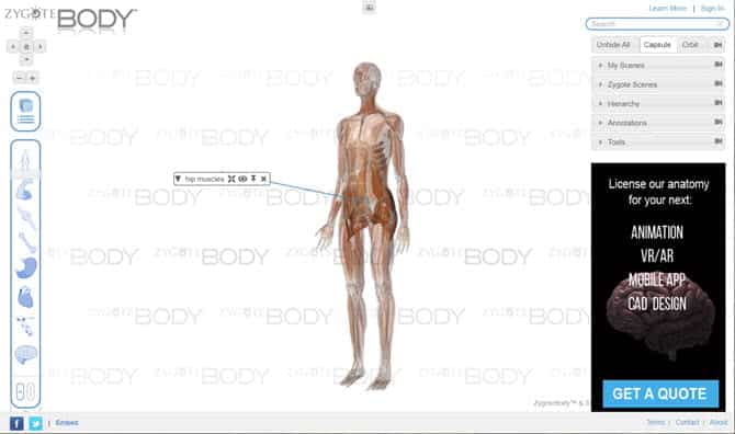 أفضل الجولات الافتراضية داخل جسم الإنسان للتشريح التفاعلي - الواقع الافتراضي مواقع