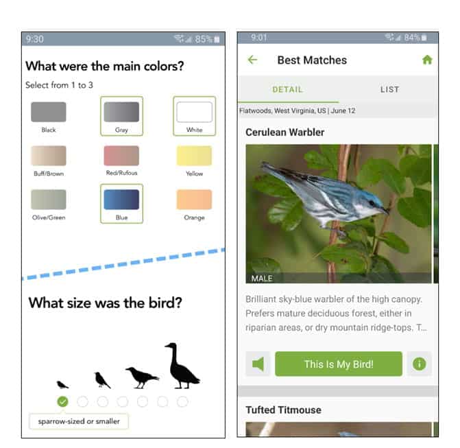 أفضل تطبيقات مراقبة الطيور لتعزيز مهاراتك (Android et iOS) - Android iOS