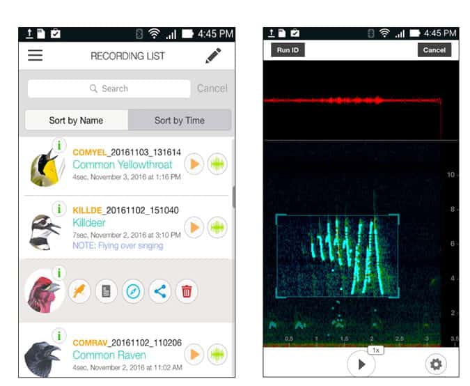أفضل تطبيقات مراقبة الطيور لتعزيز مهاراتك (Android et iOS) - Android iOS