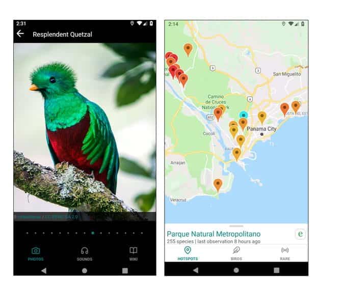 أفضل تطبيقات مراقبة الطيور لتعزيز مهاراتك (Android و iOS) - Android iOS