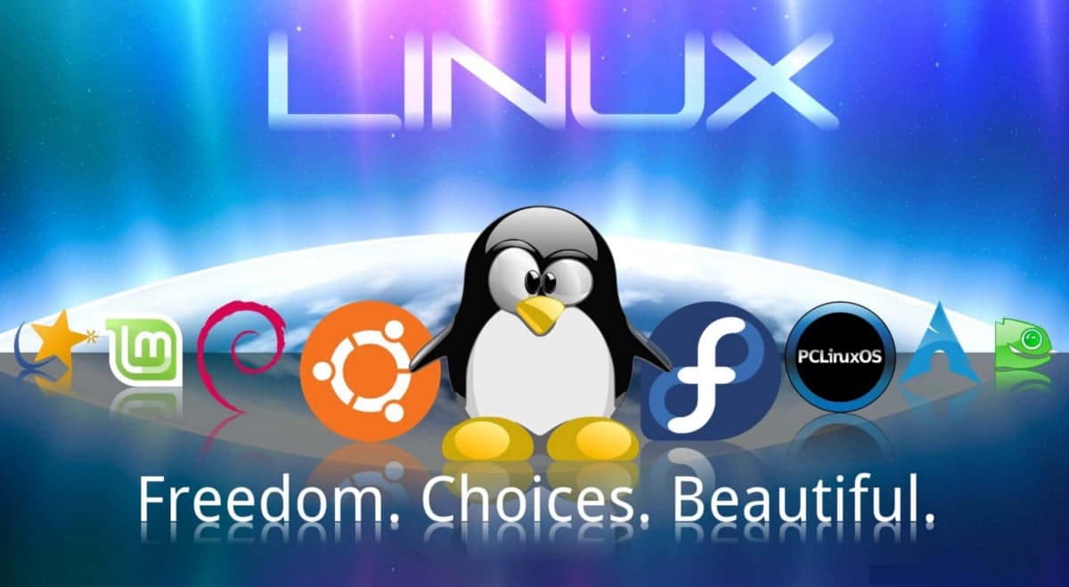 أفضل أنظمة تشغيل Linux التي يُمكن تجربها في جهاز افتراضي - لينكس