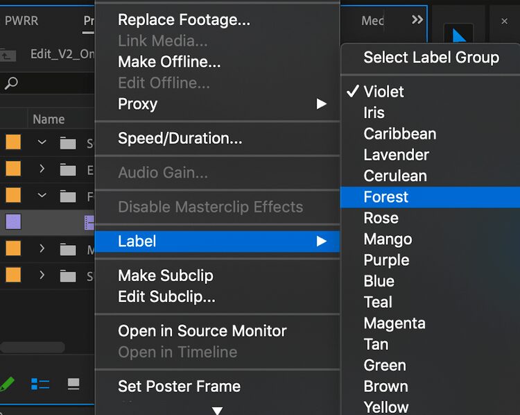 أفضل الطرق لتنظيم المشاريع في Adobe Premiere Pro - شروحات