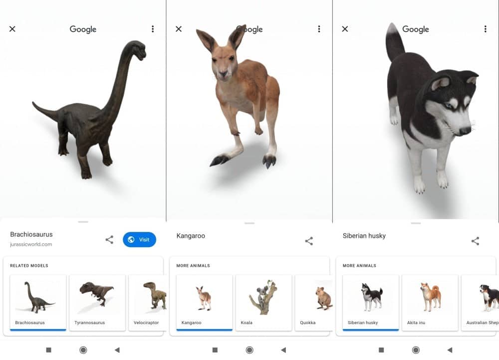 الحيوانات 3D من Google: كيفية تحويل جهازك إلى حديقة سفاري افتراضية - شروحات
