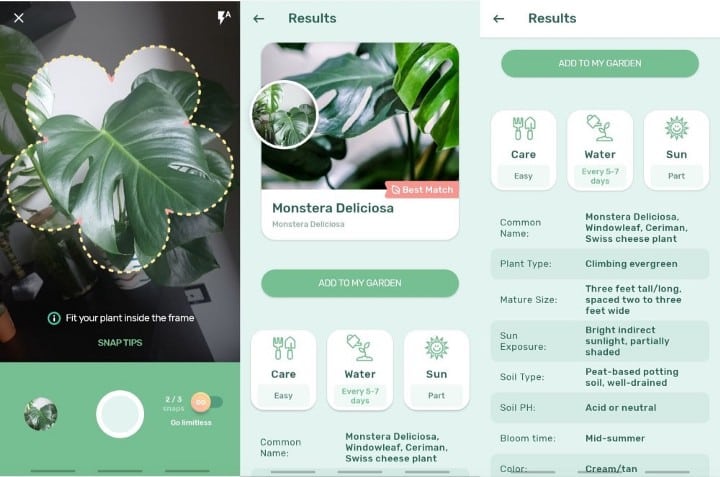 أفضل تطبيقات Android للعناية بالنباتات المنزلية - Android