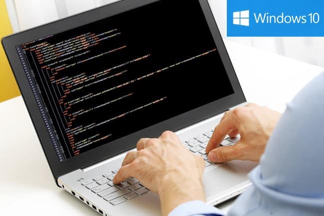 Impossible d'activer le mode développeur dans Windows 10 ?  Essayez ces correctifs - Windows 