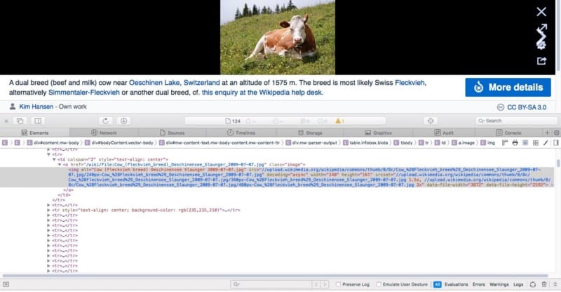 كيفية تعديل صفحات الويب على Safari باستخدام Inspect Element - Mac