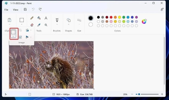 أفضل الطرق لضغط ملفات الصور في Windows 11 و 10 - الويندوز
