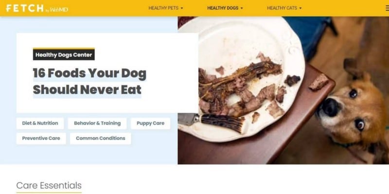أفضل مواقع الويب لمُحبي الكلاب الذين لديهم أسئلة حول رعاية الحيوانات الأليفة - مواقع