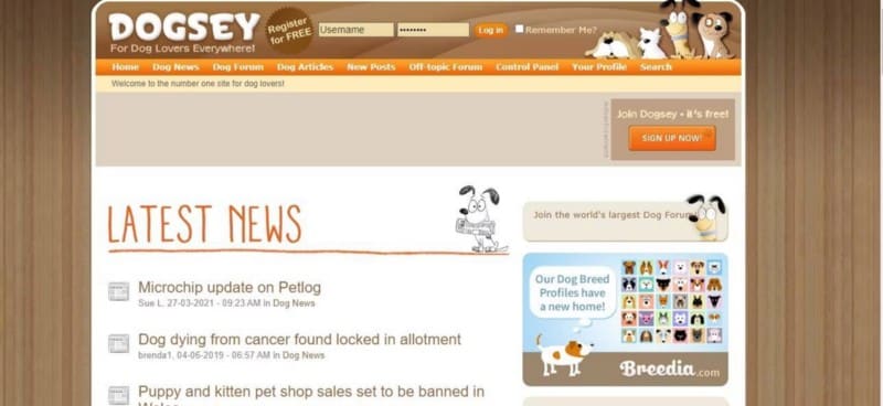 أفضل مواقع الويب لمُحبي الكلاب الذين لديهم أسئلة حول رعاية الحيوانات الأليفة - مواقع