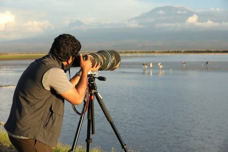 كيفية البدء في تصوير الطبيعة والحياة البرية: أهم النصائح - التصوير الفوتوغرافي