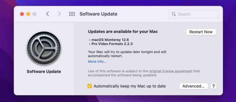 Safari يستمر في التعطل على الـ Mac؟ طرق لإصلاحه - Mac