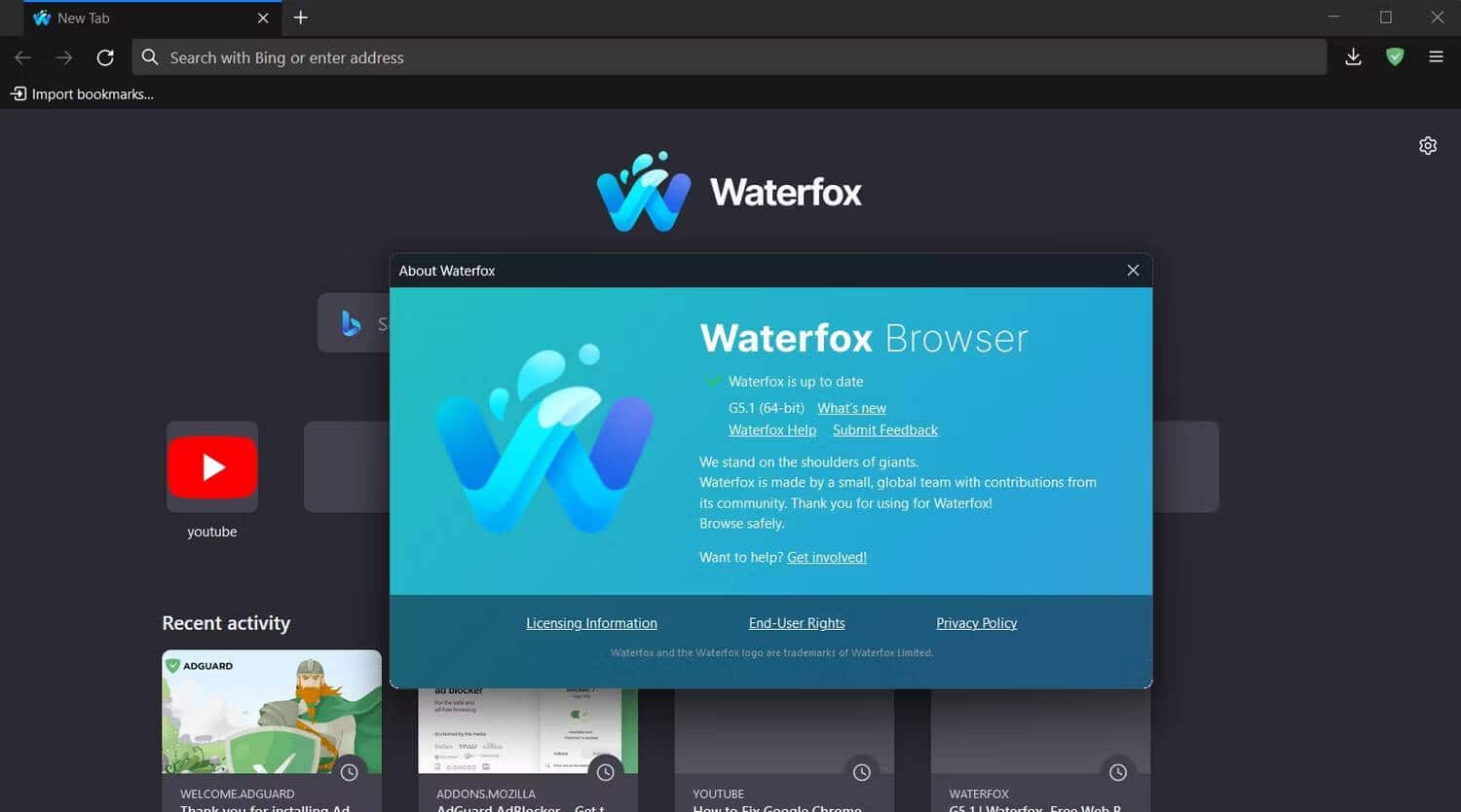 إصلاحات يجب تجربتها عندما لا يقوم Waterfox بتحميل صفحات الويب على Windows - الويندوز