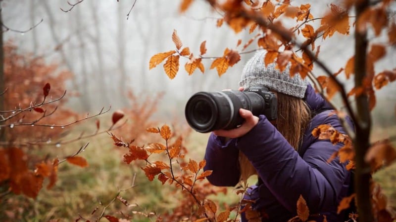 مشاريع التصوير الفوتوغرافي لتجربتها في الخريف باستخدام عدسة الماكرو - التصوير الفوتوغرافي