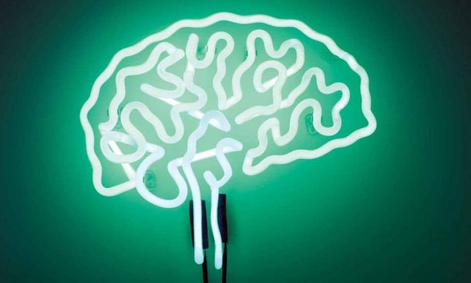 أفضل الطرق للحفاظ على دماغك شابًا - مقالات