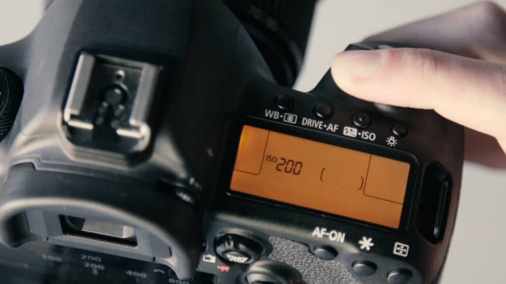 ما هو الأيزو (ISO) في التصوير الفوتوغرافي؟ دليل لإعدادات الكاميرا - التصوير الفوتوغرافي