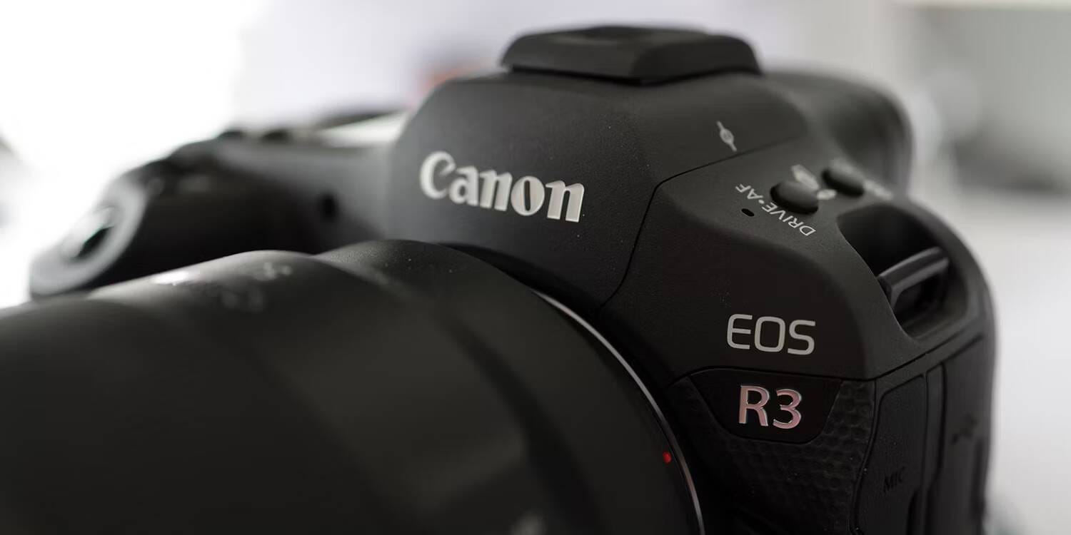 مُقارنة بين Canon و Nikon: ما هي ماركة الكاميرا الأفضل؟ - التصوير الفوتوغرافي مراجعات