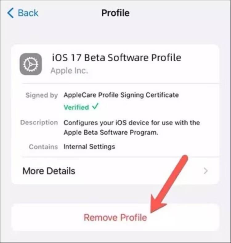 كيفية التراجع من iOS 17 إلى iOS 16 دون فقد البيانات باستخدام Tenorshare Reiboot - iOS