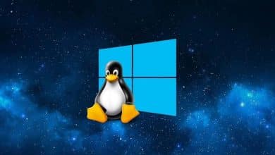 1WQlrq5V1zniLhl5f3DU64A DzTechs | تأثير Windows الفرعي لـ Linux على حصول Linux لسطح المكتب على حصة سوقية إضافية